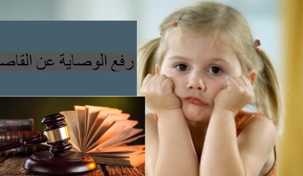 ما هو المجلس الحسبي