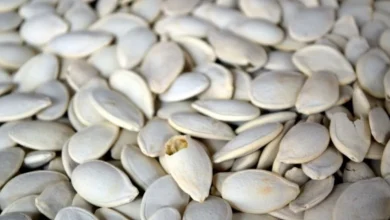 أضرار اللب الأبيض