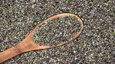 أضرار بذرة القاطونة للتخسيس