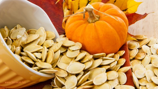 أضرار بذور القرع