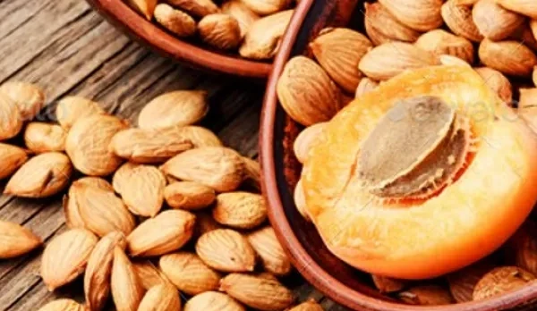 أضرار بذور المشمس