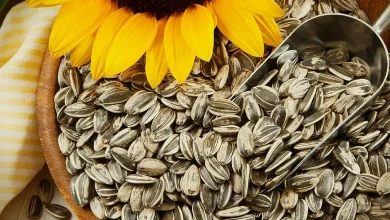 أضرار بذور عباد الشمس لمرضى السكري