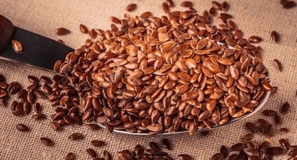 أضرار حب الرشاد للكلي