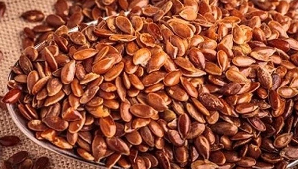 أضرار حب الرشاد للكلي