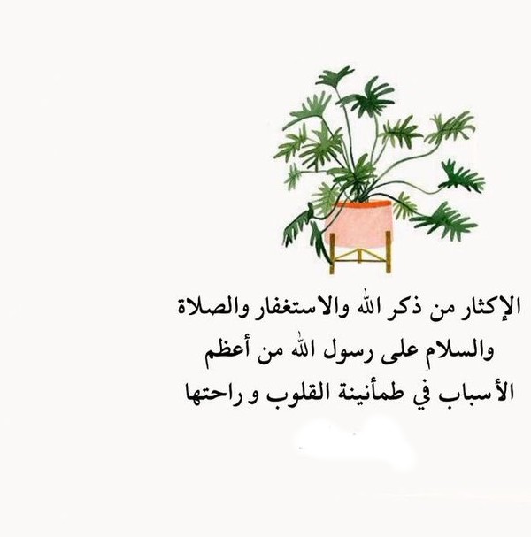 اجمل الصور للصلاة على النبي