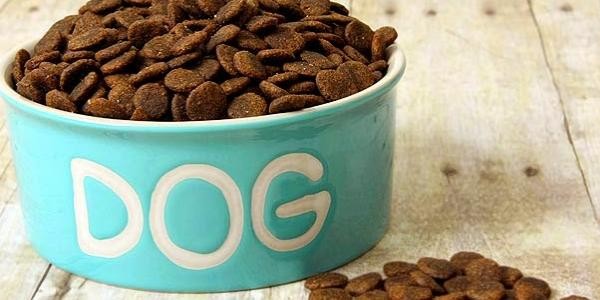 افضل أطعمة للكلاب