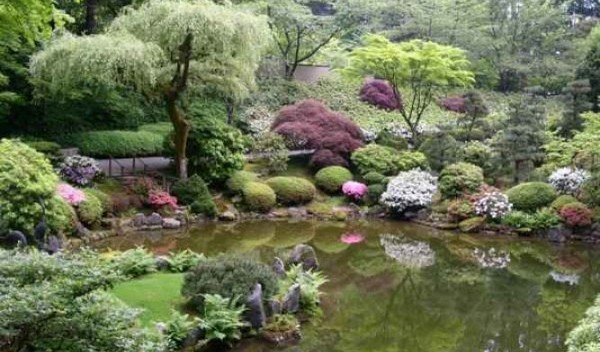 الحديقة النباتية المركزية