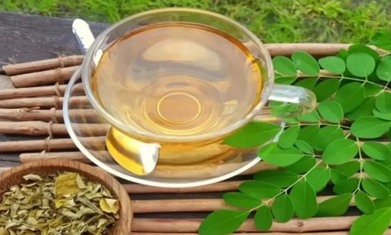 اهم أضرار المورينجا