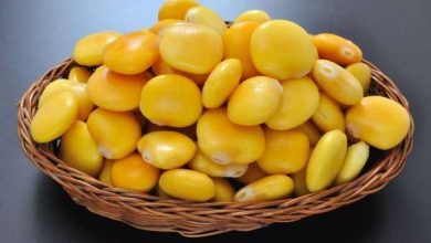 اهم فوائد الترمس والرجيم