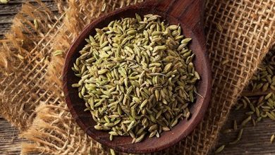 تجربتي مع الشمر لزيادة الوزن