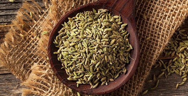 تجربتي مع الشمر لزيادة الوزن