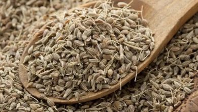 تجربتي مع اليانسون لزيادة الوزن