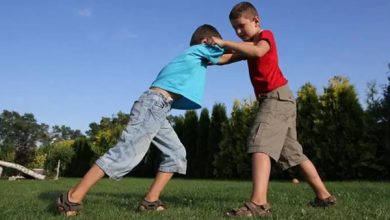 تفسير رؤية الشجار في المنام