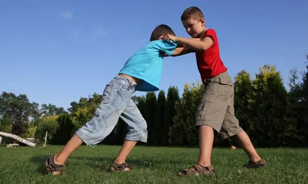 تفسير رؤية الشجار في المنام