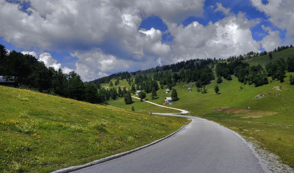 جبل فلاسيتش