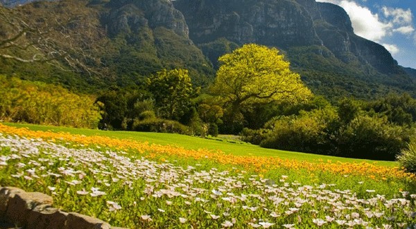 حدائق كريستينبوش النباتية