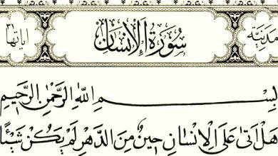 فضل سورة الإنسان