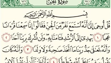 فضل سورة الجن