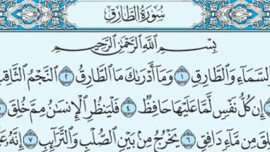 فضل سورة الطارق