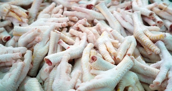 فوائد ارجل الدجاج