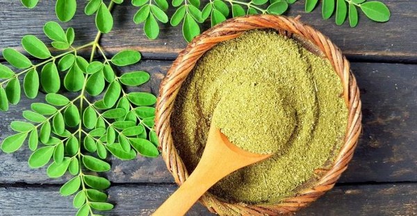 فوائد اعشاب المورينجا