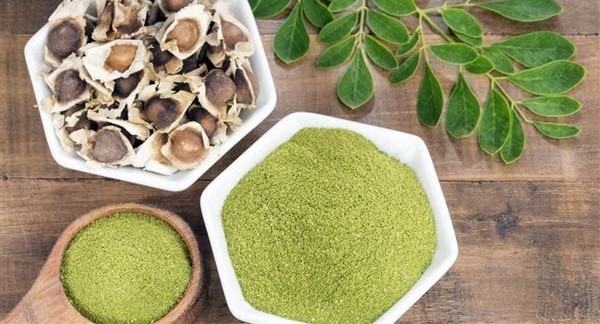 فوائد اعشاب المورينجا