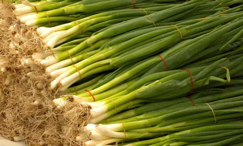 فوائد البصل الأخضر