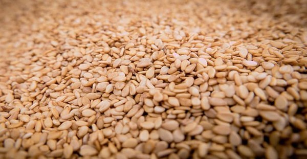 فوائد الجلجلان