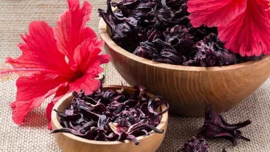 فوائد الكركدية للنساء