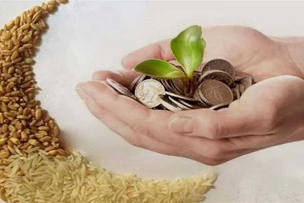 كيفية حساب زكاة الفطر