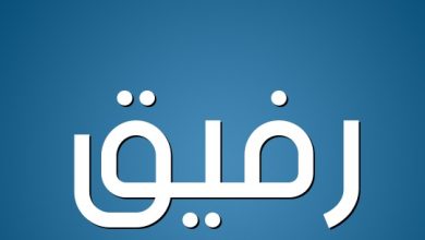 معنى اسم رفيق