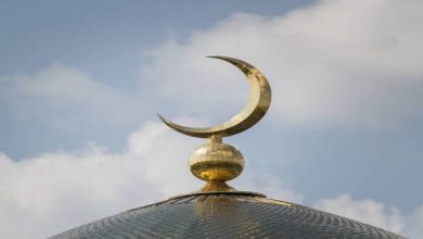 من هم السبايا ؟