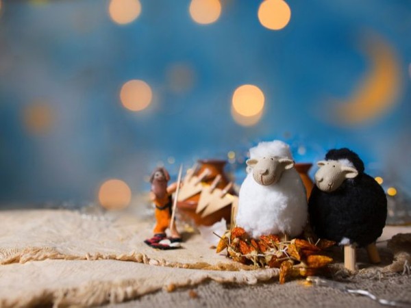 تحميل صور عيد الأضحي