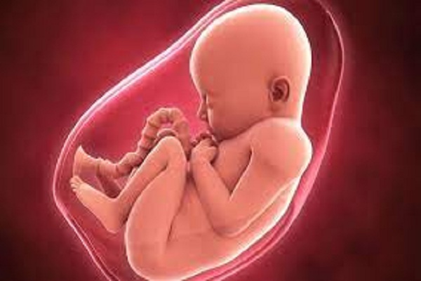 كيف اعرف نوع الجنين