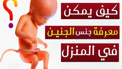 كيف اعرف نوع الجنين