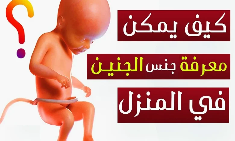 كيف اعرف نوع الجنين