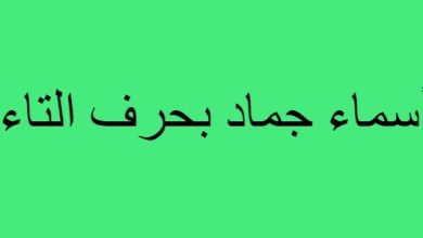 أسماء جماد بحرف التاء