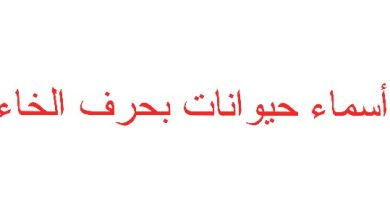 أسماء حيوانات بحرف الخاء