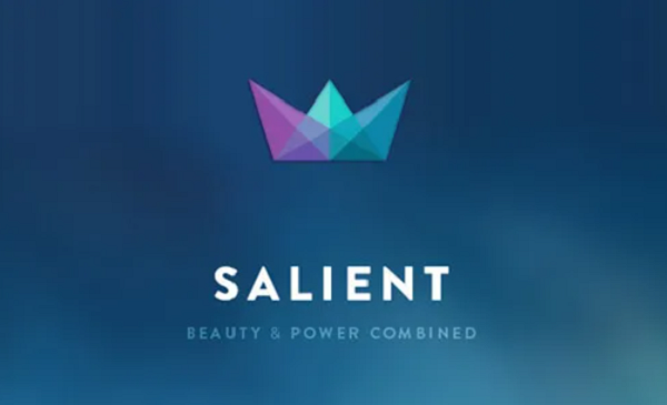 أفضل قوالب ووردبريس احترافية