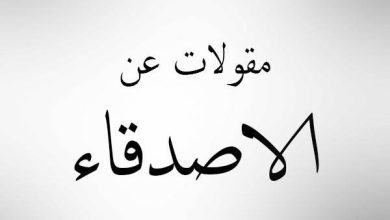 أقوال عن الصديق