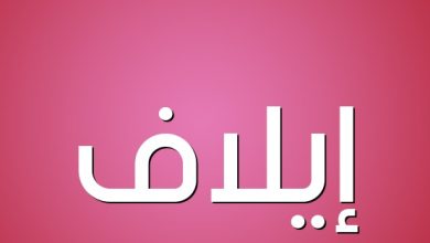 اسم ايلاف