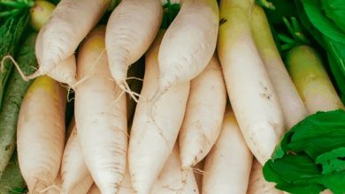 اضرار الفجل الأبيض