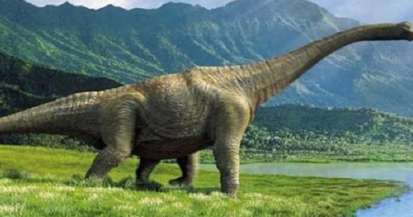 الحيوانات المنقرضة