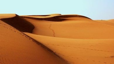 الرمل في المنام