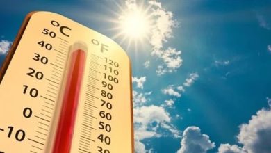 الطقس في هامبورغ