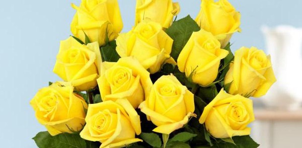 دلائل الورد الأصفر