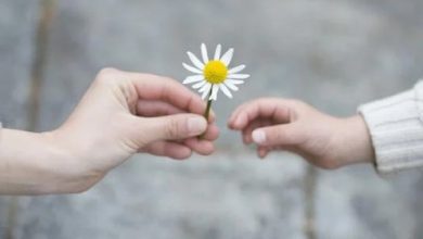 عبارات جميلة