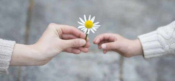 عبارات جميلة