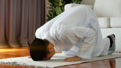 عدد ركعات النوافل