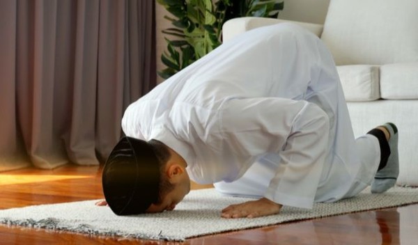 عدد ركعات النوافل